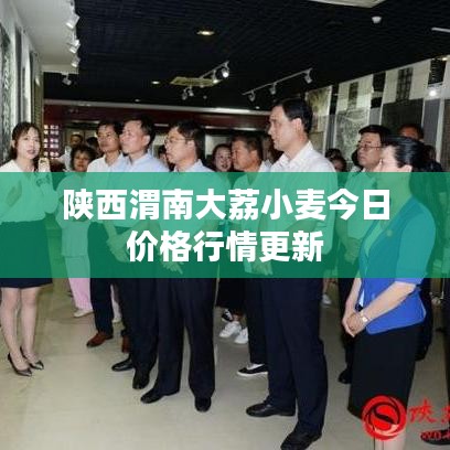 陕西渭南大荔小麦今日价格行情更新