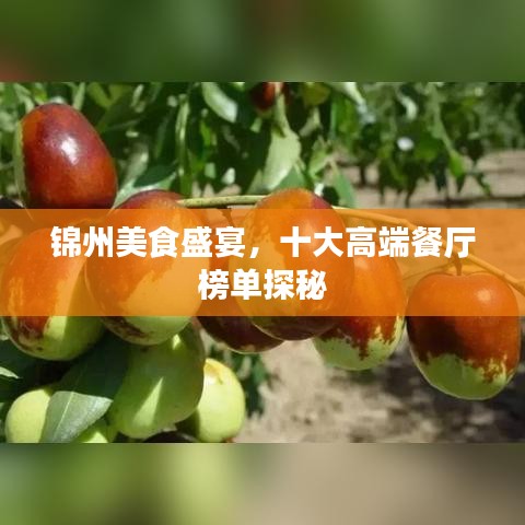 锦州美食盛宴，十大高端餐厅榜单探秘