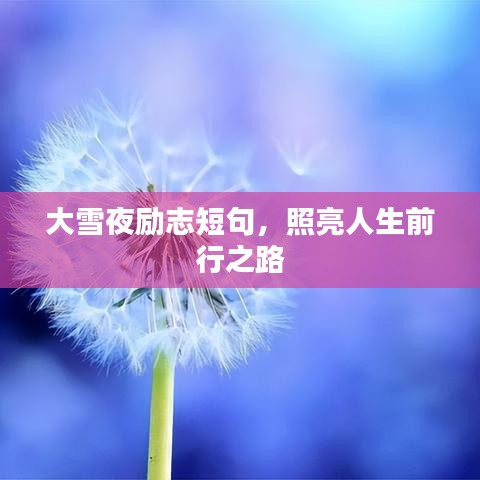 大雪夜励志短句，照亮人生前行之路