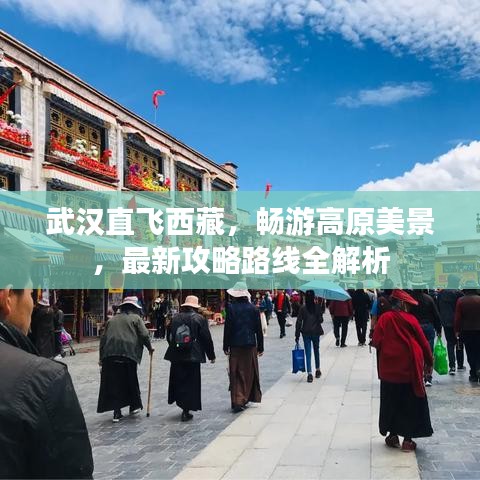 武汉直飞西藏，畅游高原美景，最新攻略路线全解析