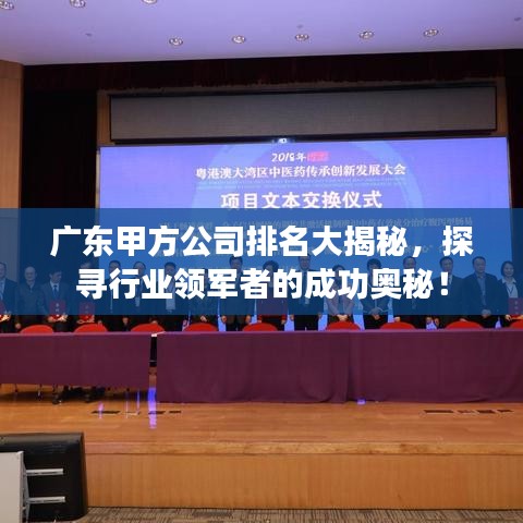 广东甲方公司排名大揭秘，探寻行业领军者的成功奥秘！