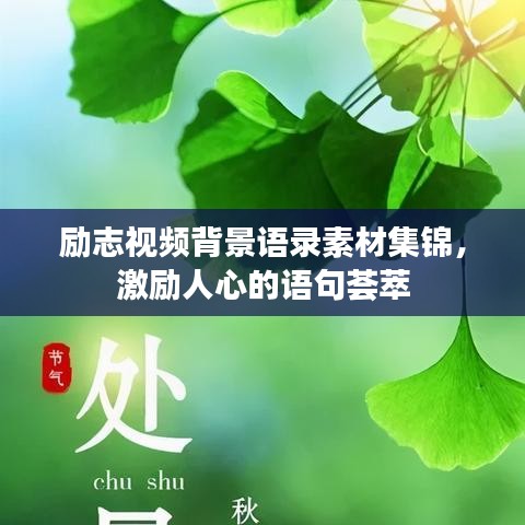 励志视频背景语录素材集锦，激励人心的语句荟萃