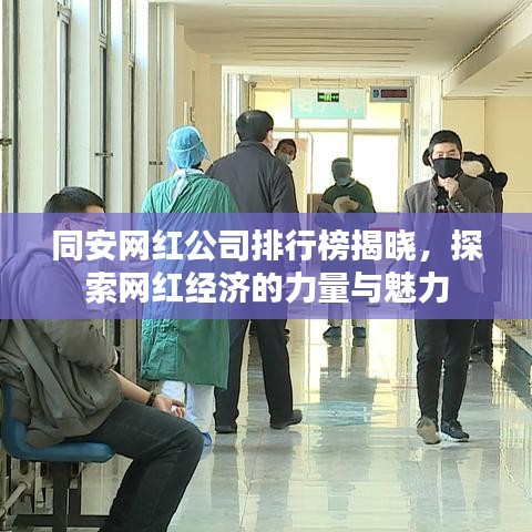 同安网红公司排行榜揭晓，探索网红经济的力量与魅力