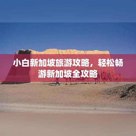 小白新加坡旅游攻略，轻松畅游新加坡全攻略