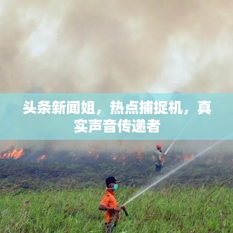 头条新闻姐，热点捕捉机，真实声音传递者