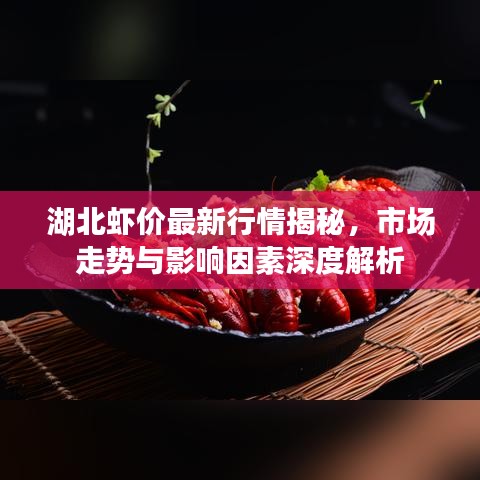 湖北虾价最新行情揭秘，市场走势与影响因素深度解析