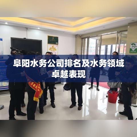 阜阳水务公司排名及水务领域卓越表现