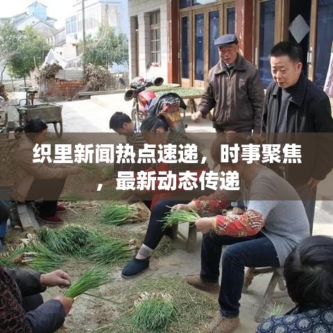 织里新闻热点速递，时事聚焦，最新动态传递
