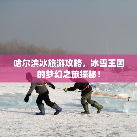 哈尔滨冰旅游攻略，冰雪王国的梦幻之旅探秘！