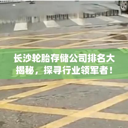 长沙轮胎存储公司排名大揭秘，探寻行业领军者！