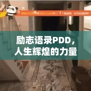 励志语录PDD，人生辉煌的力量之源