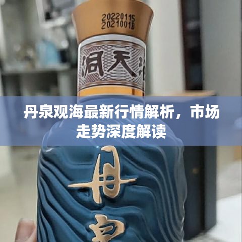 丹泉观海最新行情解析，市场走势深度解读