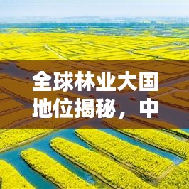 全球林业大国地位揭秘，中国林业影响力深度解析