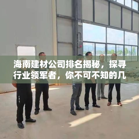 海南建材公司排名揭秘，探寻行业领军者，你不可不知的几家企业！