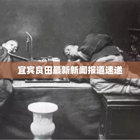 宜宾良田最新新闻报道速递