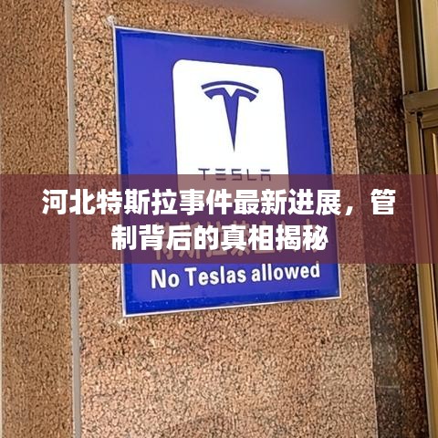 河北特斯拉事件最新进展，管制背后的真相揭秘