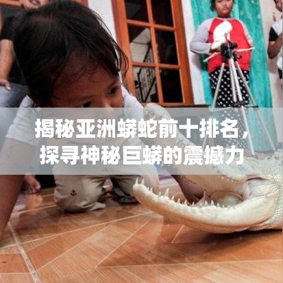揭秘亚洲蟒蛇前十排名，探寻神秘巨蟒的震撼力量！