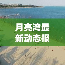 月亮湾最新动态报道今日更新