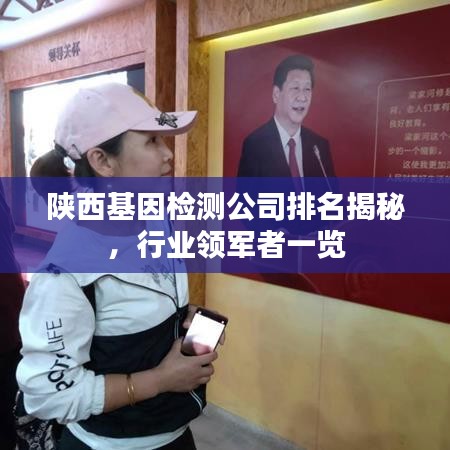 陕西基因检测公司排名揭秘，行业领军者一览