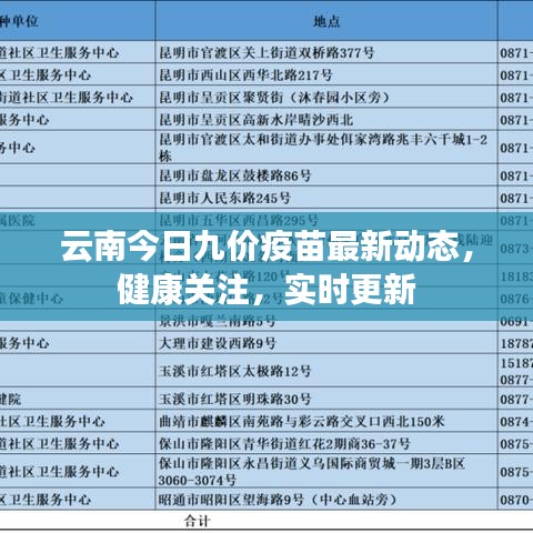 云南今日九价疫苗最新动态，健康关注，实时更新