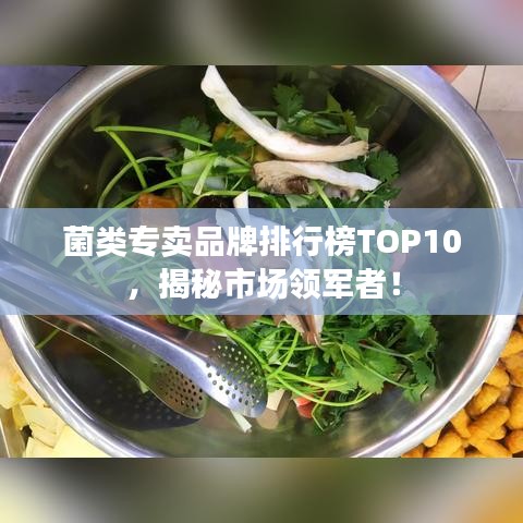 菌类专卖品牌排行榜TOP10，揭秘市场领军者！
