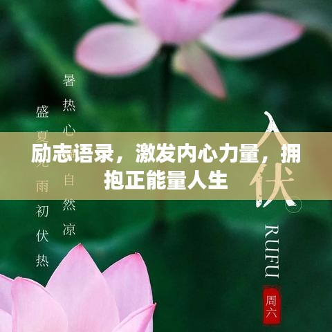 励志语录，激发内心力量，拥抱正能量人生