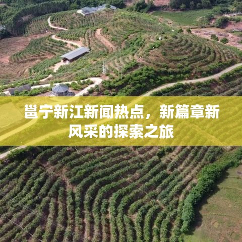 邕宁新江新闻热点，新篇章新风采的探索之旅