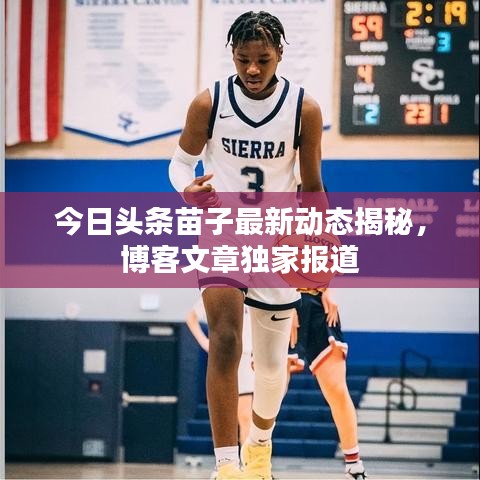 今日头条苗子最新动态揭秘，博客文章独家报道