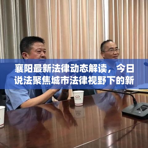 襄阳最新法律动态解读，今日说法聚焦城市法律视野下的新发展
