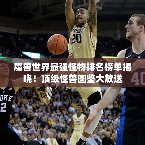 魔兽世界最强怪物排名榜单揭晓！顶级怪兽图鉴大放送