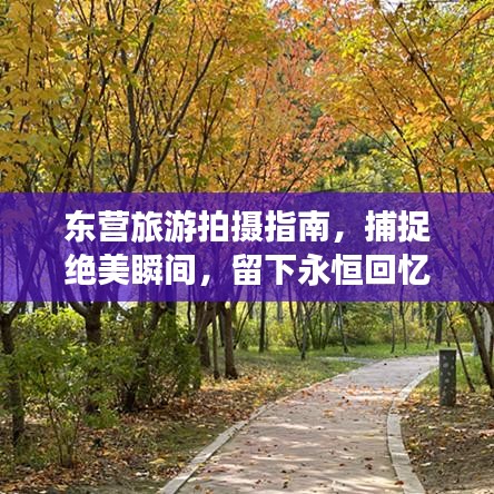 东营旅游拍摄指南，捕捉绝美瞬间，留下永恒回忆