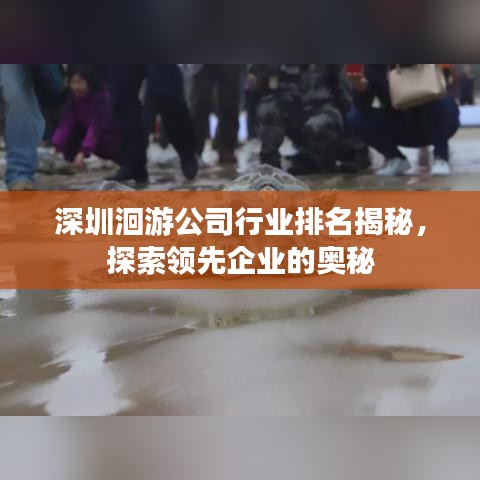 深圳洄游公司行业排名揭秘，探索领先企业的奥秘