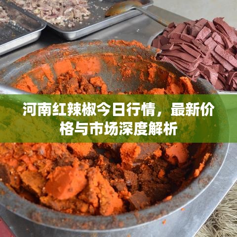 河南红辣椒今日行情，最新价格与市场深度解析