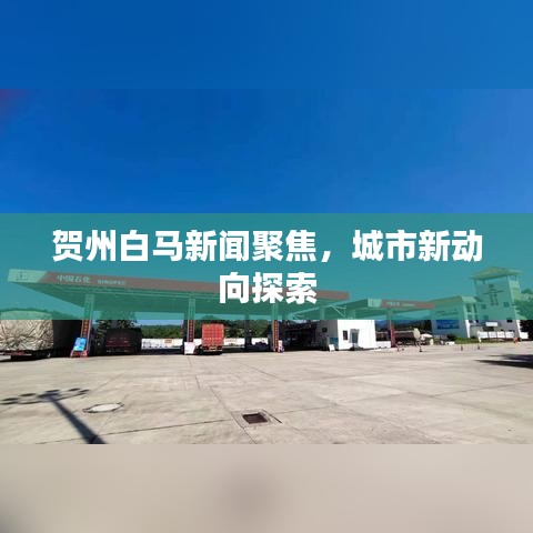 贺州白马新闻聚焦，城市新动向探索