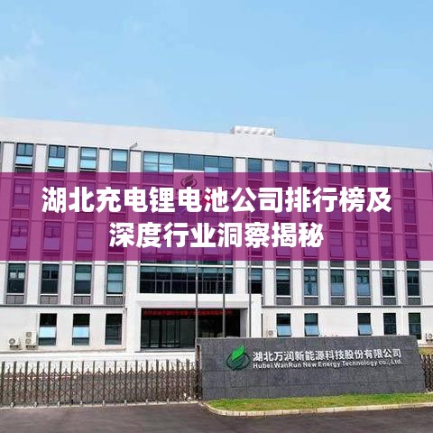 湖北充电锂电池公司排行榜及深度行业洞察揭秘