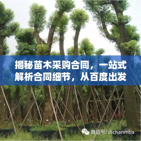 揭秘苗木采购合同，一站式解析合同细节，从百度出发洞悉一切