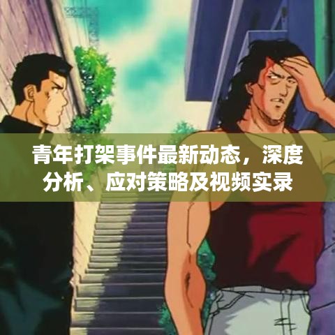 青年打架事件最新动态，深度分析、应对策略及视频实录