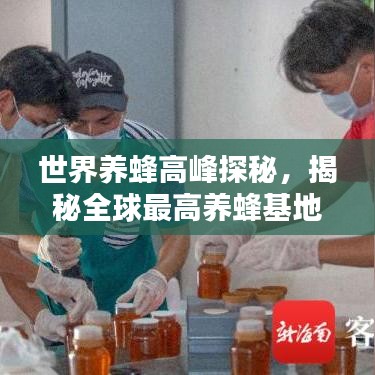 世界养蜂高峰探秘，揭秘全球最高养蜂基地排名！