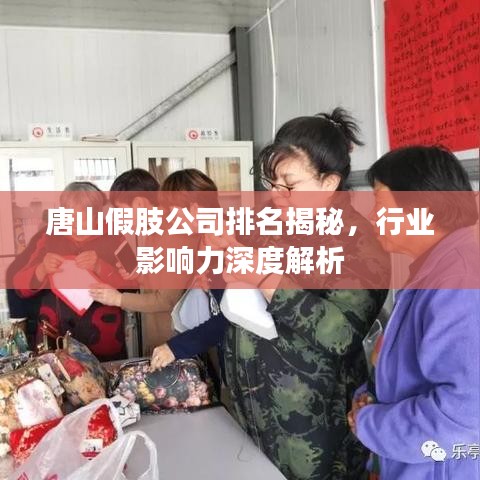 唐山假肢公司排名揭秘，行业影响力深度解析