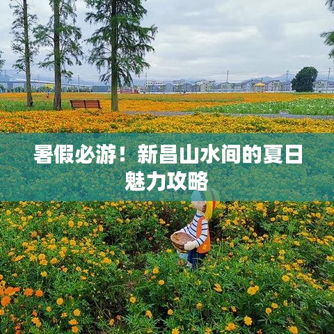 暑假必游！新昌山水间的夏日魅力攻略