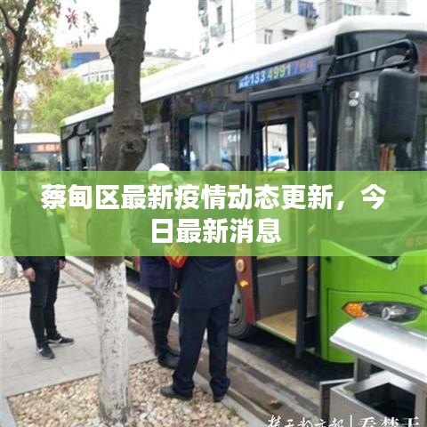 蔡甸区最新疫情动态更新，今日最新消息