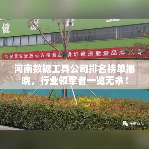 河南数据工具公司排名榜单揭晓，行业领军者一览无余！