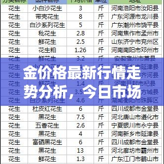 金价格最新行情走势分析，今日市场动向与预测
