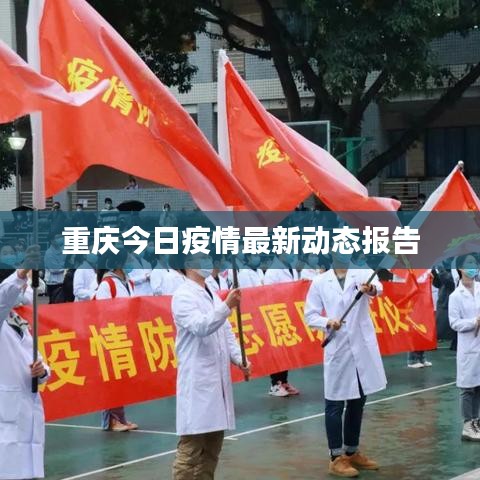 重庆今日疫情最新动态报告