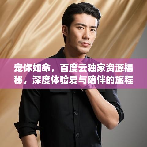 宠你如命，百度云独家资源揭秘，深度体验爱与陪伴的旅程