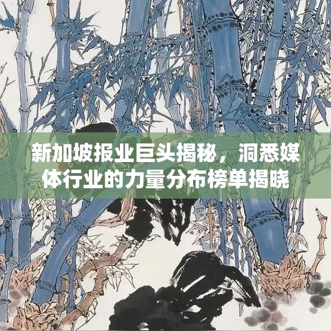 新加坡报业巨头揭秘，洞悉媒体行业的力量分布榜单揭晓