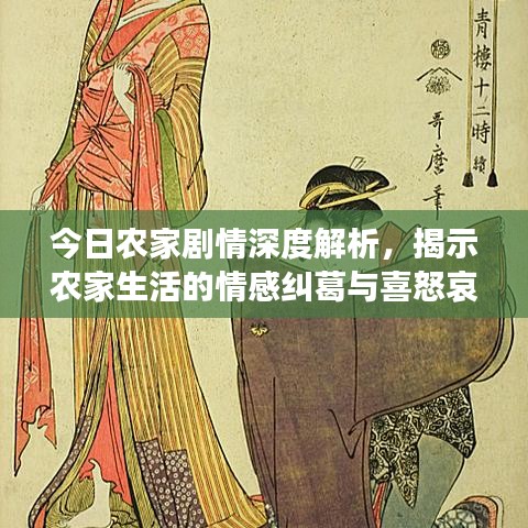 今日农家剧情深度解析，揭示农家生活的情感纠葛与喜怒哀乐