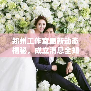 郑州工作室最新动态揭秘，成立消息全知晓