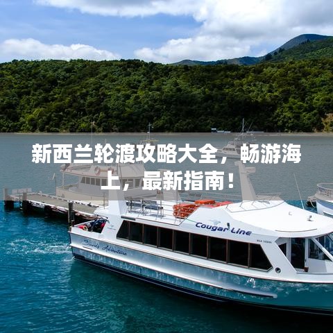 新西兰轮渡攻略大全，畅游海上，最新指南！