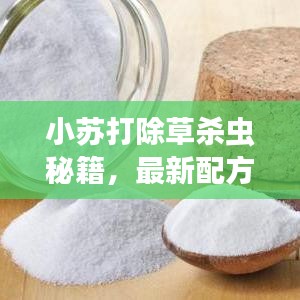 小苏打除草杀虫秘籍，最新配方表揭秘！